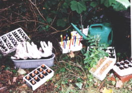 Val Shatwell's peice